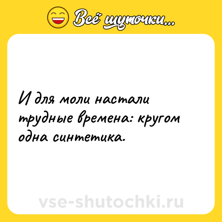 Шутка: И для моли настали трудные времена: кругом одна синтетика.