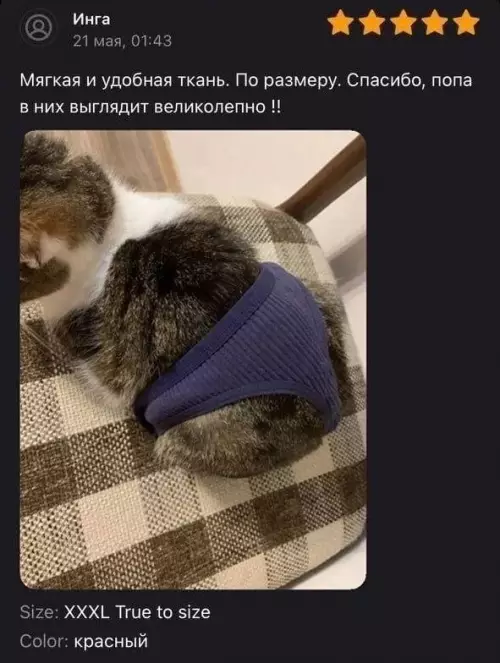 Смешная картинка №693425
