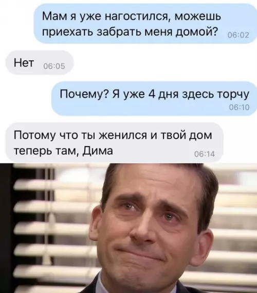 Смешная картинка №576588 переписка, жена