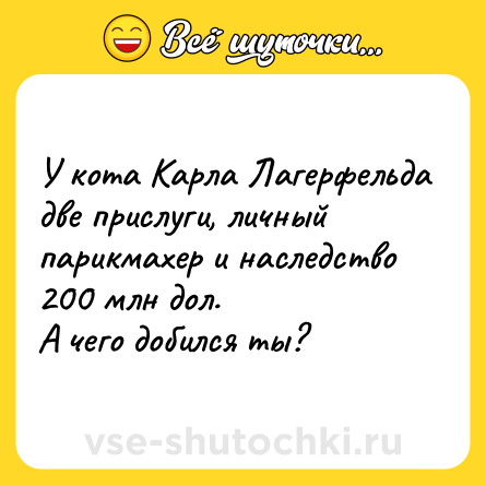 Шутка: У кота Карла Лагерфельда две прислуги, личный парикмахер и наследство 200 млн дол.<br>А чего добился ты?