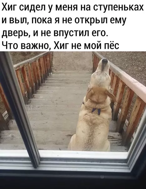 Смешная картинка №480891