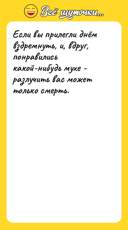Если вы прилегли днём вздремнуть, и, вдруг, понравились какой-нибудь мухе