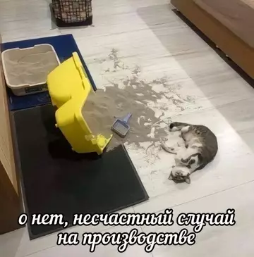 Смешная картинка №750047