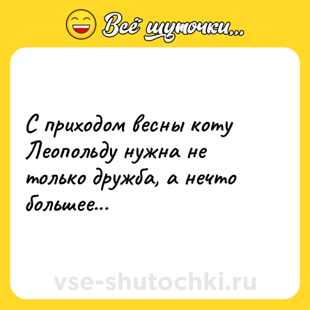 Шутка: С приходом весны коту Леопольду нужна не только дружба, а нечто большее...