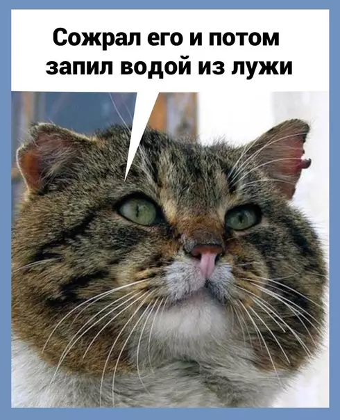 продолжение Смешная картинка №586459 Нет слов, одни только эмоции