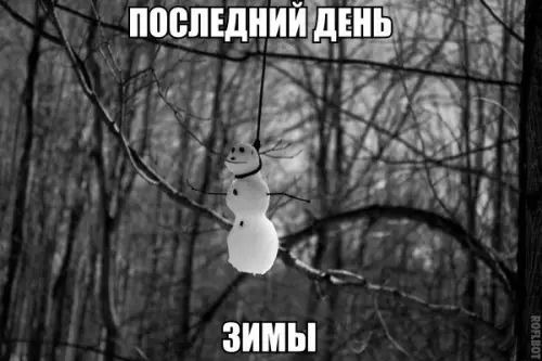 Смешная картинка №253366
