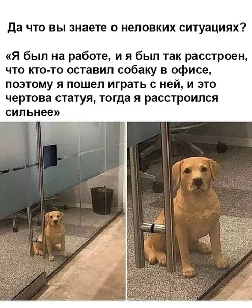 Смешная картинка №379269