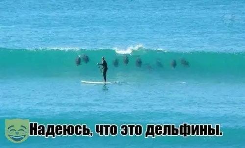 Смешная картинка №388385