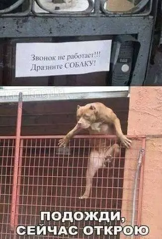 Смешная картинка №440848