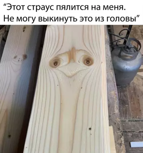 Смешная картинка №480841
