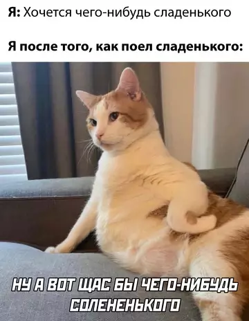 Смешная картинка №743818 Ну вот опять 