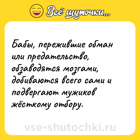 Шутка: Бабы, пережившие обман или предательство, обзаводятся мозгами, добиваются всего сами и подвергают мужиков жёсткому отбору.