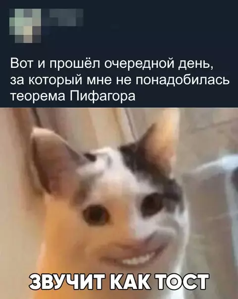 Смешная картинка №456345 Не чокаясь))