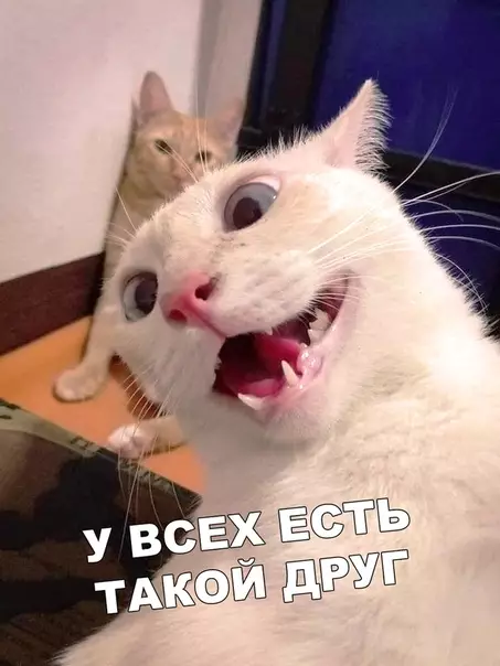 Смешная картинка №474664 Когда друг немного того