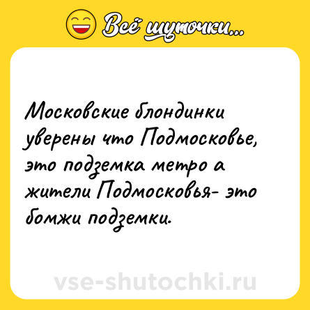 Шутка: Московские блондинки уверены что Подмосковье, это подземка метро а жители Подмосковья- это бомжи подземки.