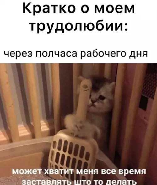 Смешная картинка №590467