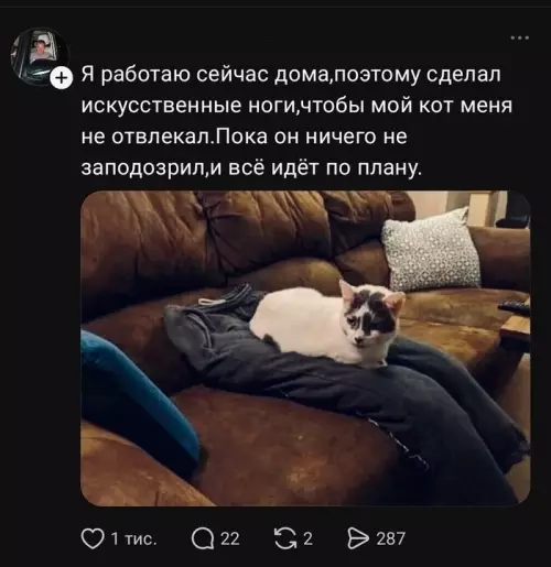 Как обмануть кота и не сойти с ума 😹 - Я работаю сейчас дома,поэтому сделал искусственные ноги,чтобы мой кот меня
