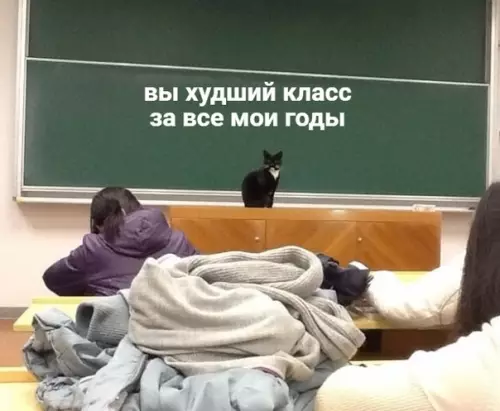 Смешная картинка №383718 Не говорите, что не слышали этих фраз