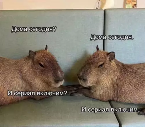 Смешная картинка №714820 Идеально  Отношения