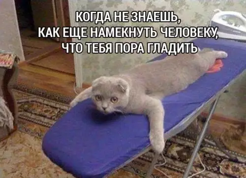 Смешная картинка №312800 Последняя попытка?