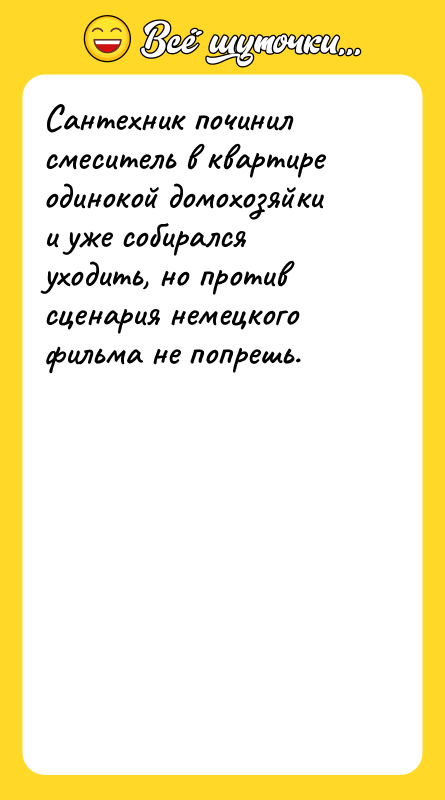 Сантехник починил смеситель в квартире одинокой домохозяйки и уже собирался