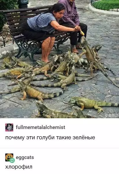 Смешная картинка №687702