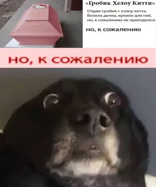 Смешная картинка №548569
