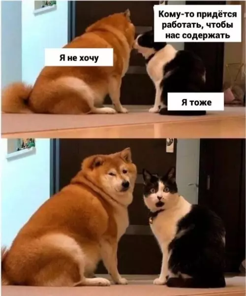 Смешная картинка №699475