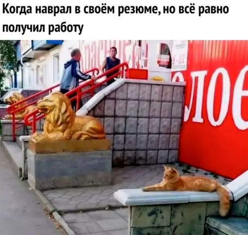 Смешная картинка №328211 ??