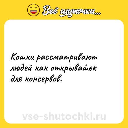 Шутка: Кошки рассматривают людей как открыва́шек для консервов.