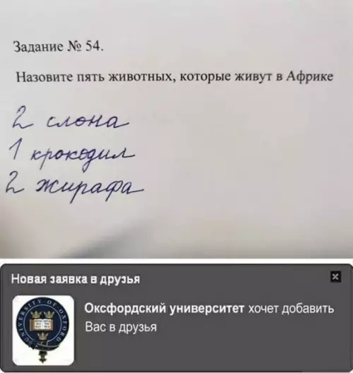Смешная картинка №540422 5 бaллов!!