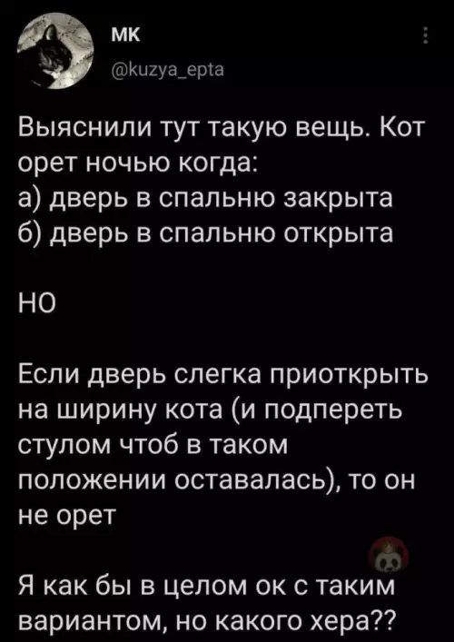 Смешная картинка №649995 Очень странные они, согласны?