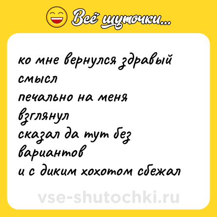 Шутка: ко мне вернулся здравый смысл  <br>печально на меня взглянул  <br>сказал да тут без вариантов  <br>и с диким хохотом сбежал