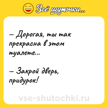 Шутка: — Дорогая, ты так прекрасна в этом туалете...<br><br>— Закрой дверь, придурок!
