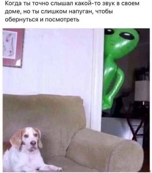 Смешная картинка №699879