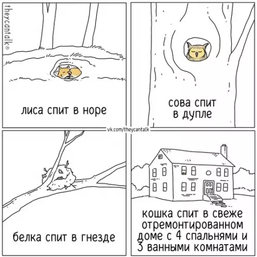 Смешная картинка №774076 Хорошо устроилась