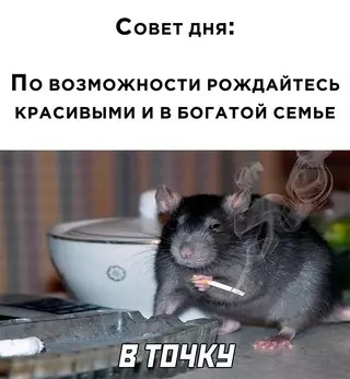 Смешная картинка №654849