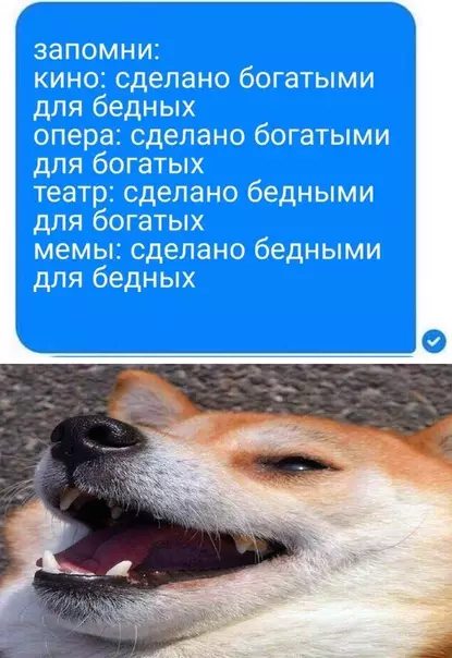 Смешная картинка №529332