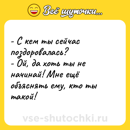 Шутка: - С кем ты сейчас поздоровалась?<br>- Ой, да хоть ты не начинай! Мне ещё объяснять ему, кто ты такой!