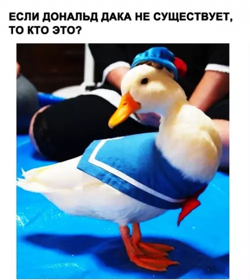 Смешная картинка №284994