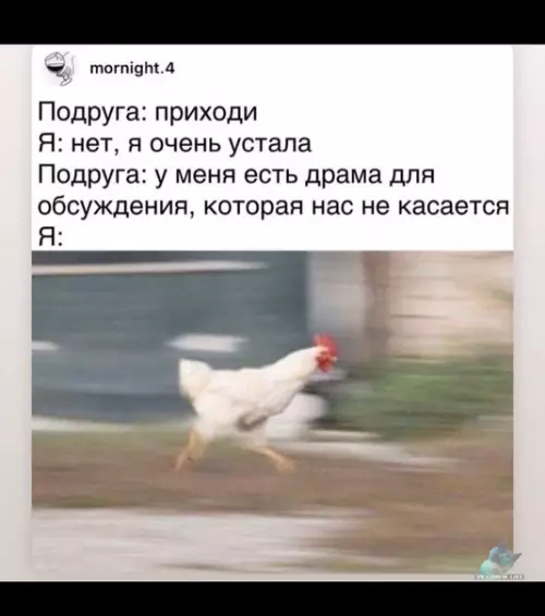 Смешная картинка №388512