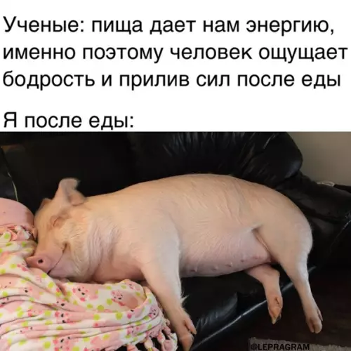 Смешная картинка №550802 Бoдpocть