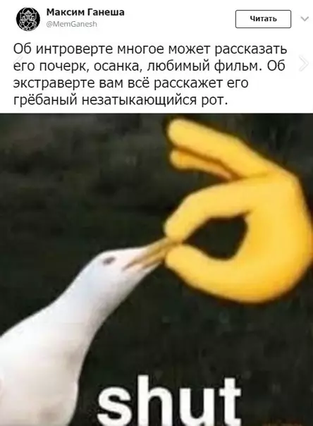 Смешная картинка №545039 Paзличия между экстро- и интровертами