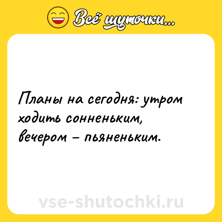Шутка: Планы на сегодня: утром ходить сонненьким, вечером – пьяненьким.