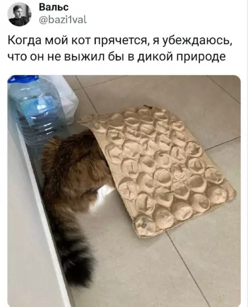 Смешная картинка №712763