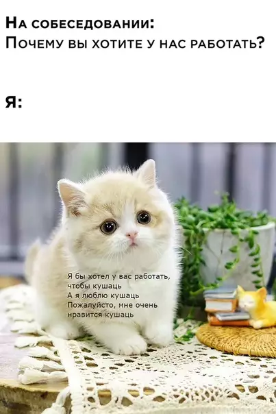 Смешная картинка №525433 Работа