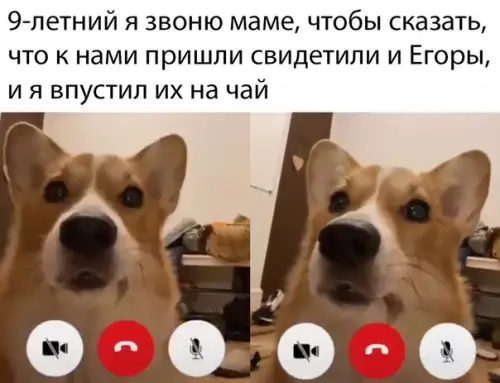 Смешная картинка №470745