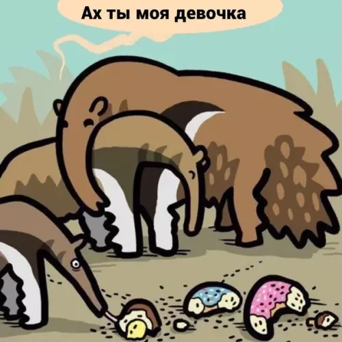продолжение Смешная картинка №589510 Самый умный среди них животные