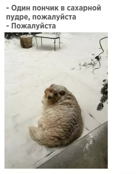 Смешная картинка №297613