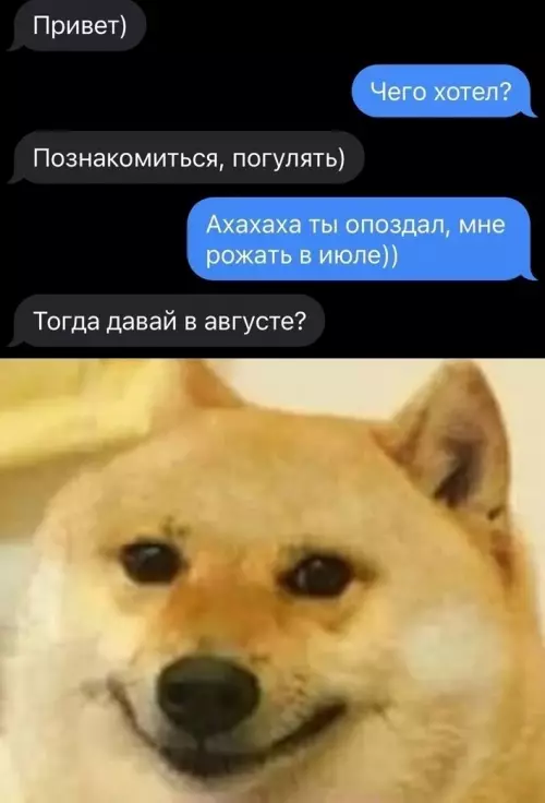 Смешная картинка №705756 А он молодец, настойчивый Переписка